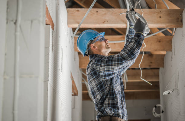 Best Electric Panel Repair  in Junction City, CA