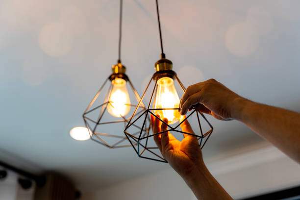 Best Electrician for Home Renovation  in Junction City, CA